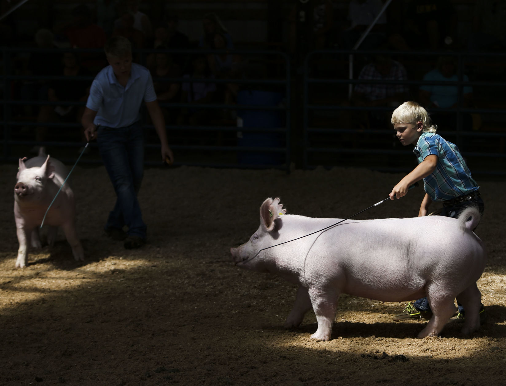 080921-qc-nws-fair-01.JPG